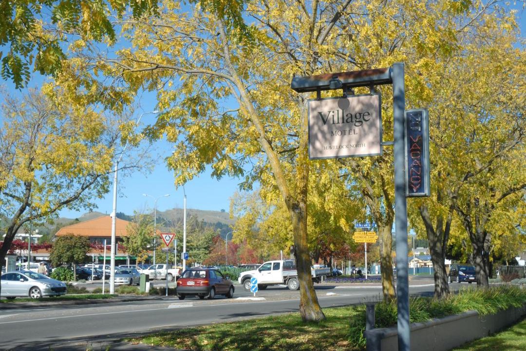 Photo of Others in Anderson Park