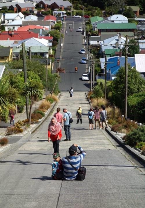 Photo of Others in Dunedin