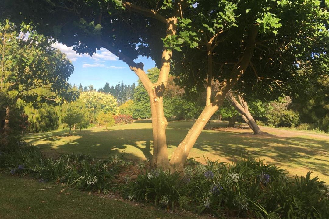 Photo of Others in Kerikeri