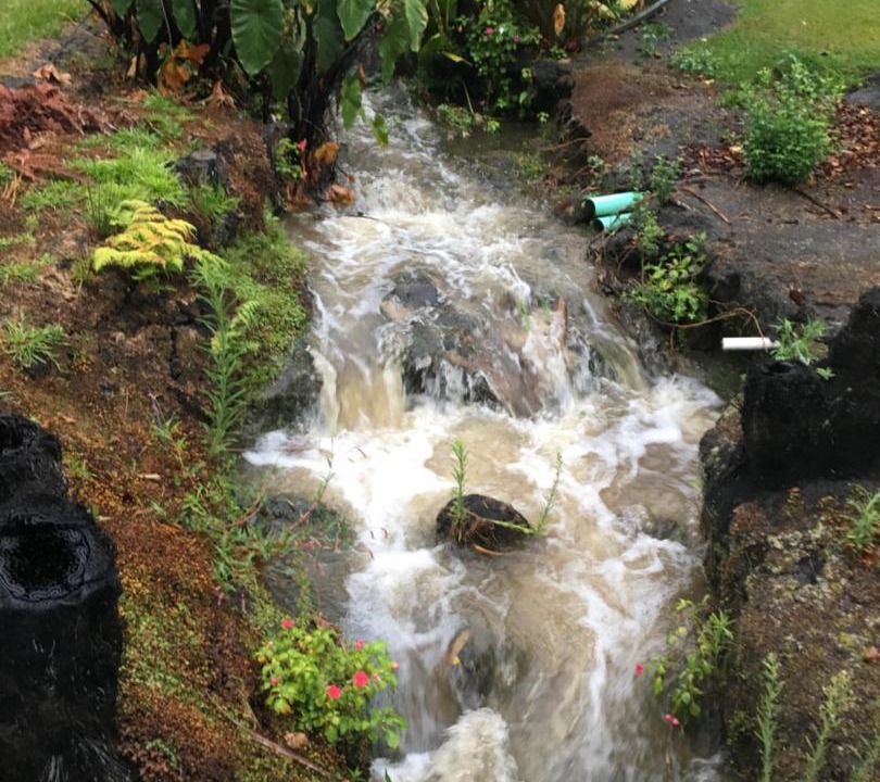 Photo of Others in Kerikeri