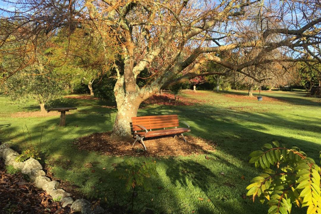 Photo of Others in Kerikeri