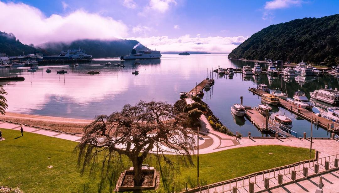 Photo of Others in Picton