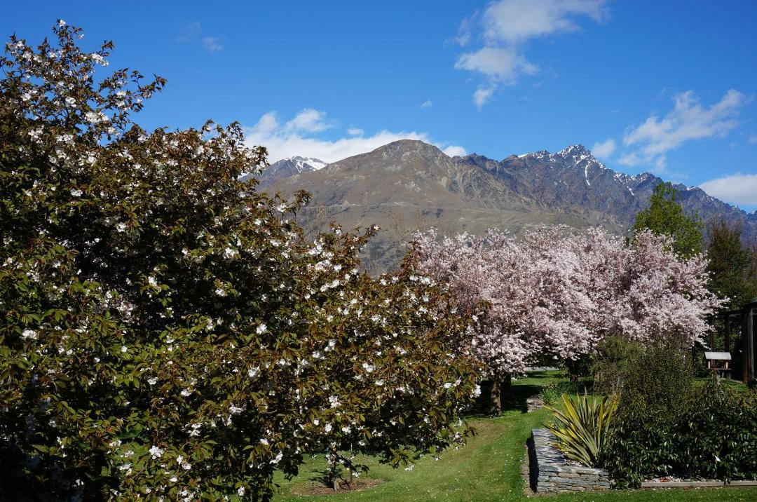 Photo of Others in Lower Shotover