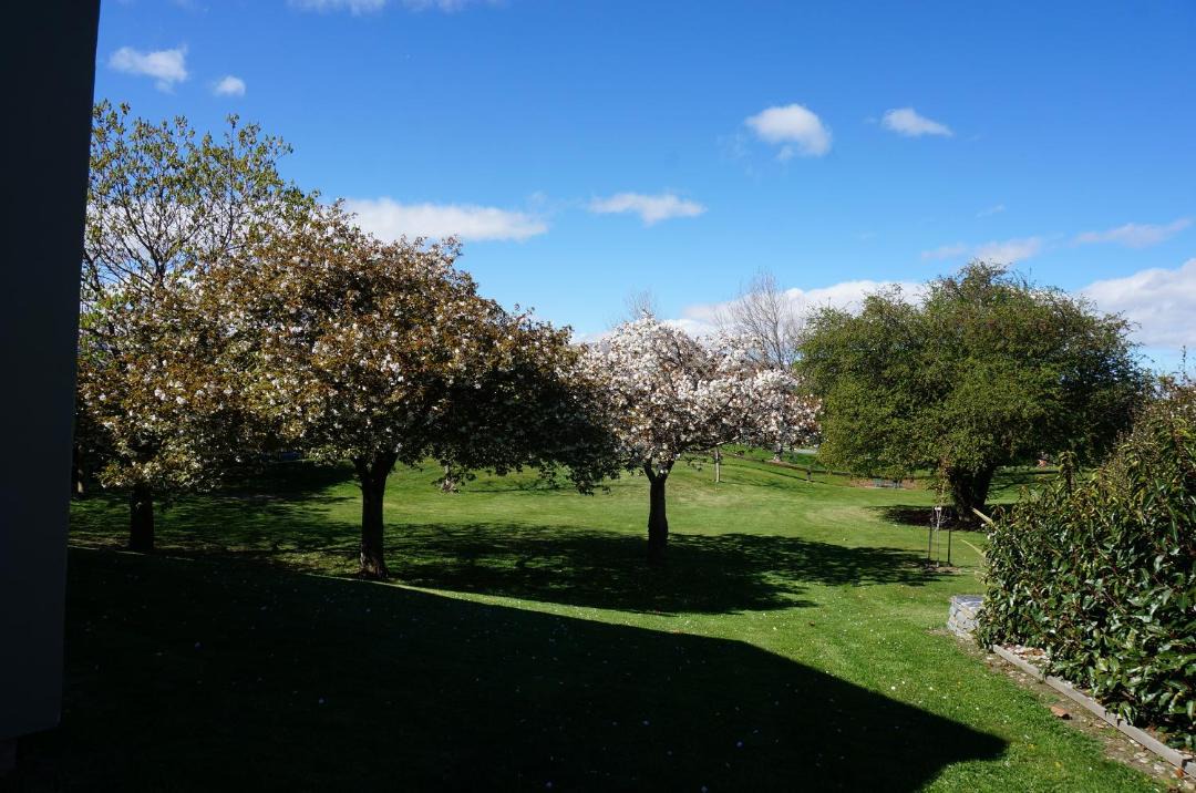 Photo of Others in Lower Shotover