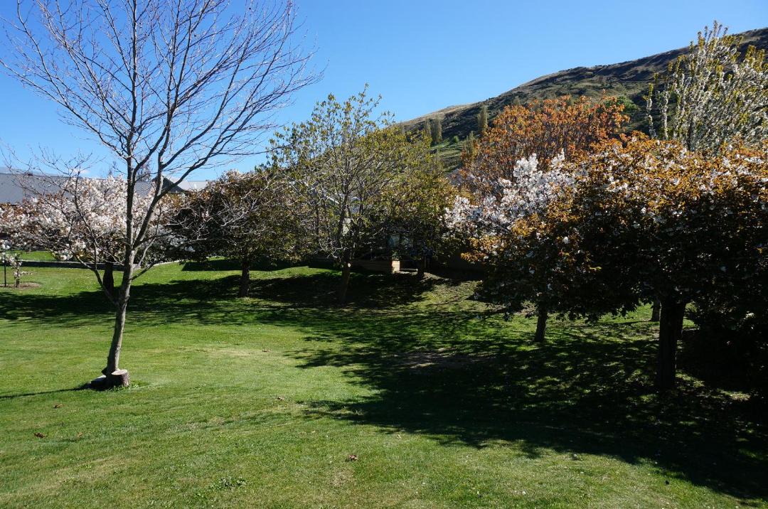 Photo of Others in Lower Shotover