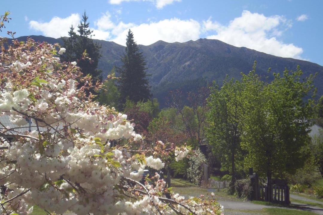 Photo of Others in Hanmer Springs