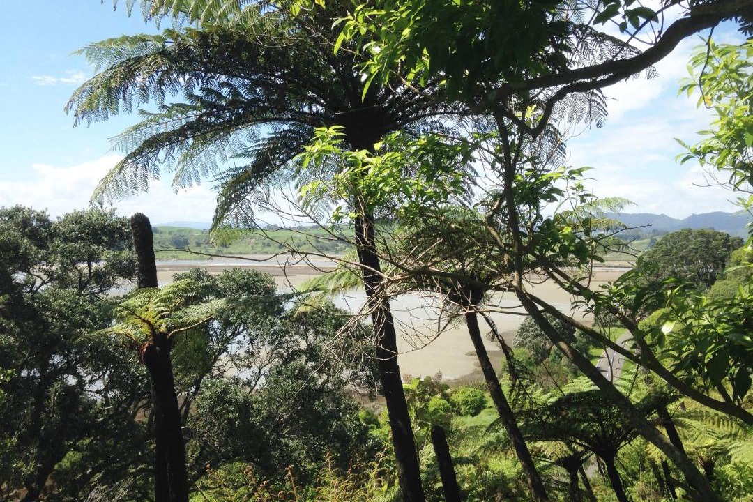 Photo of Others in Waiotahi