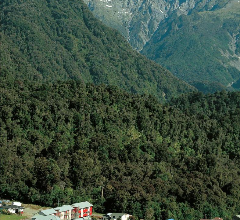 Photo of Others in Fox Glacier