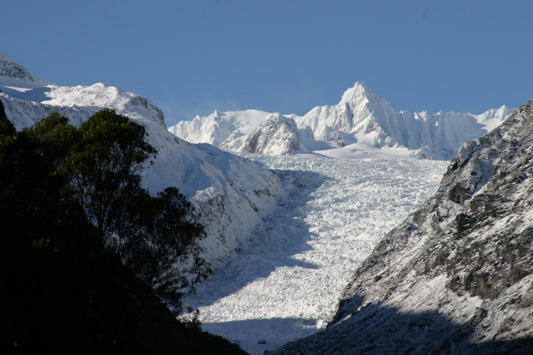 Photo of Others in Fox Glacier