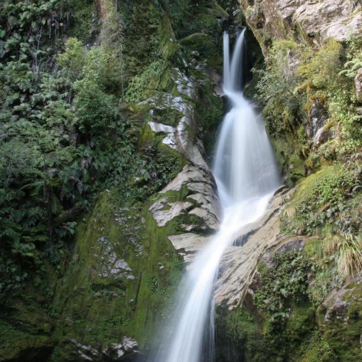 Photo of Others in Hokitika