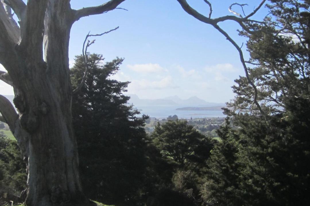 Photo of Others in Whangarei