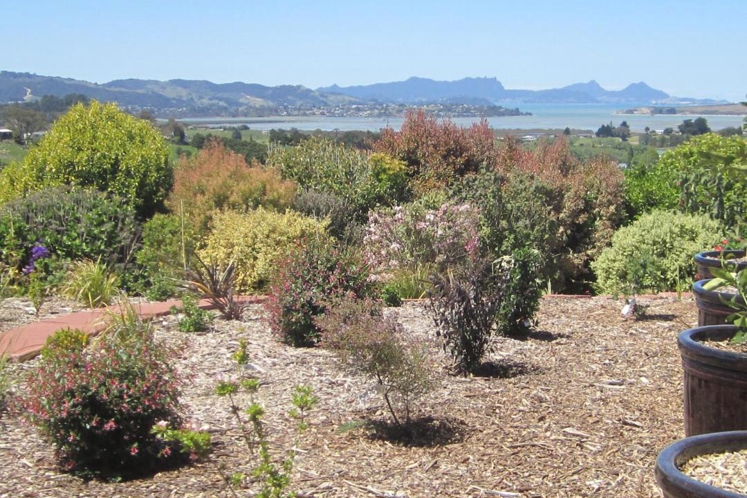 Photo of Others in Whangarei
