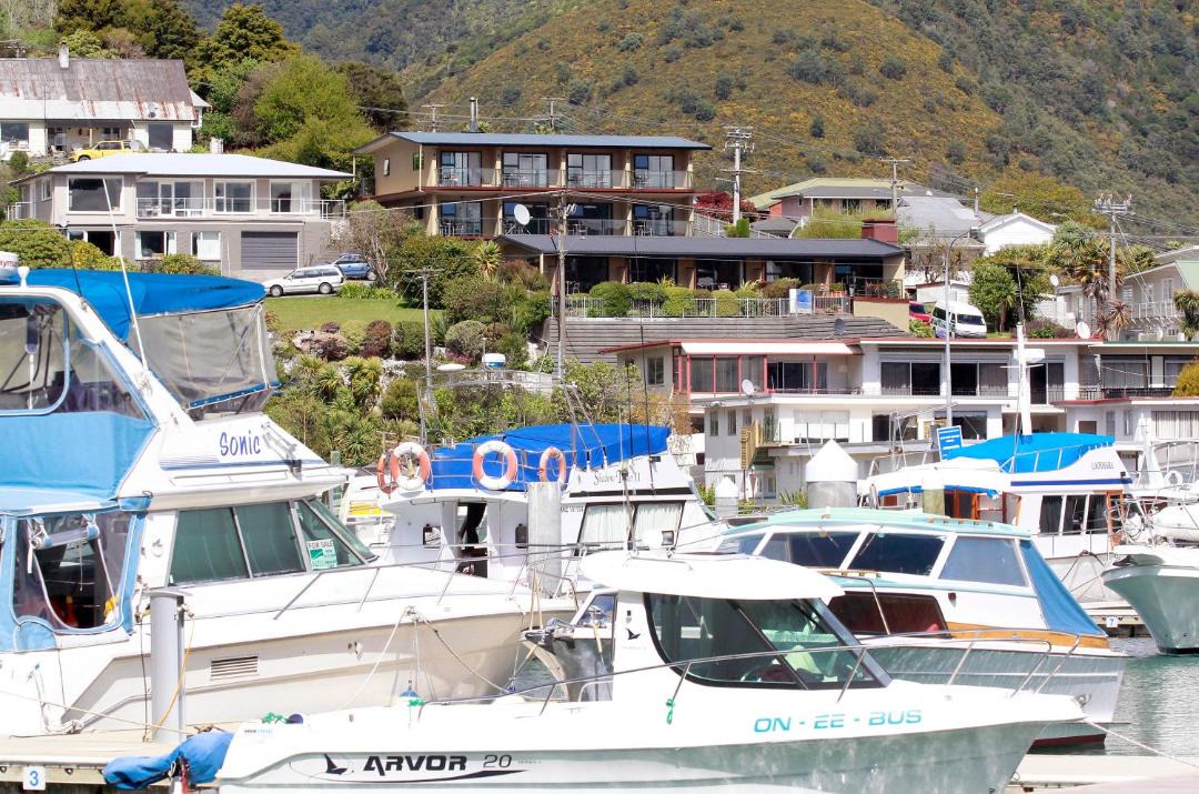 Photo of Others in Picton