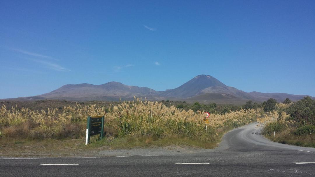 Photo of Others in Ohakune