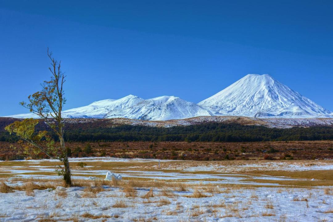 Photo of Others in Ohakune