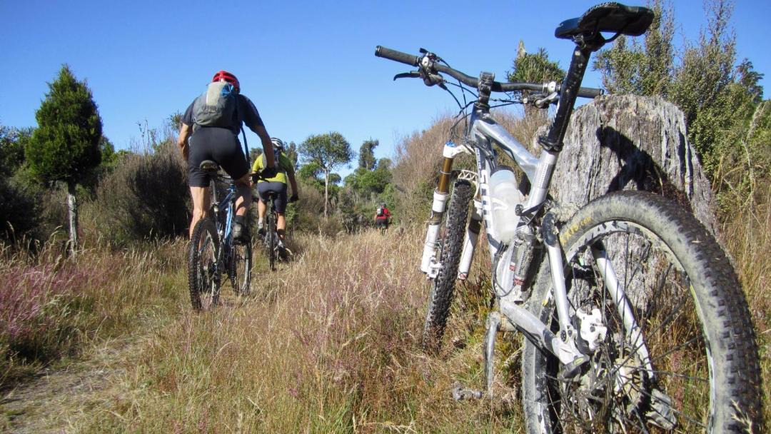 Photo of Others in Ohakune