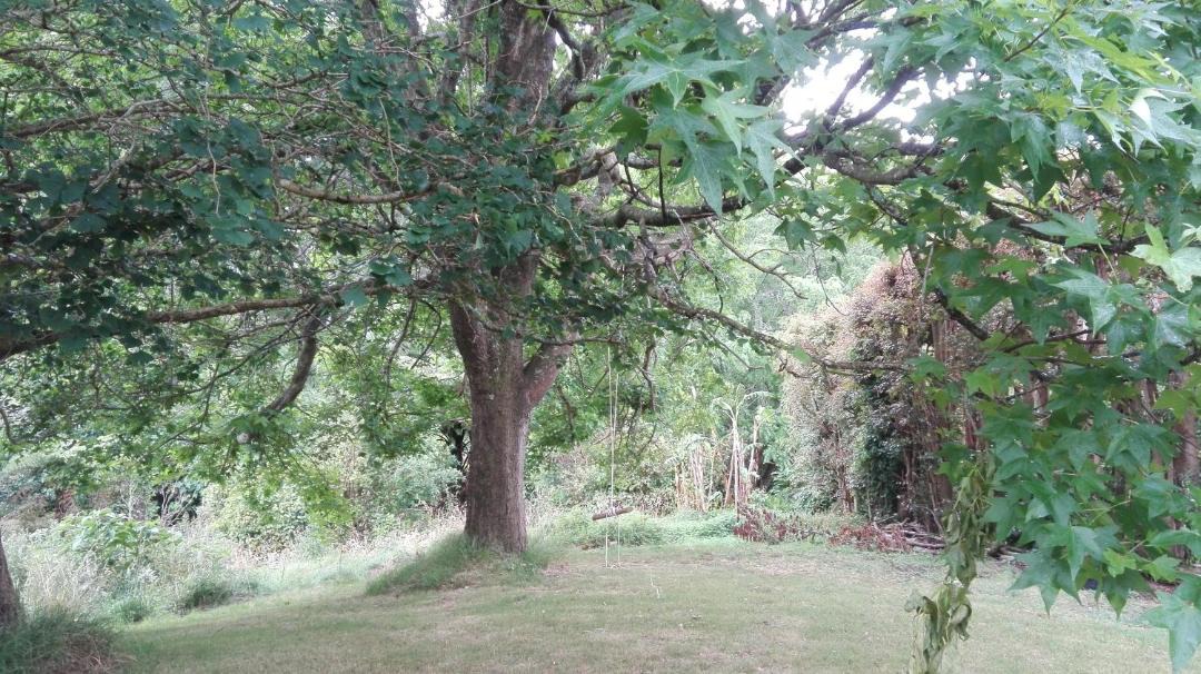 Photo of Others in Katikati