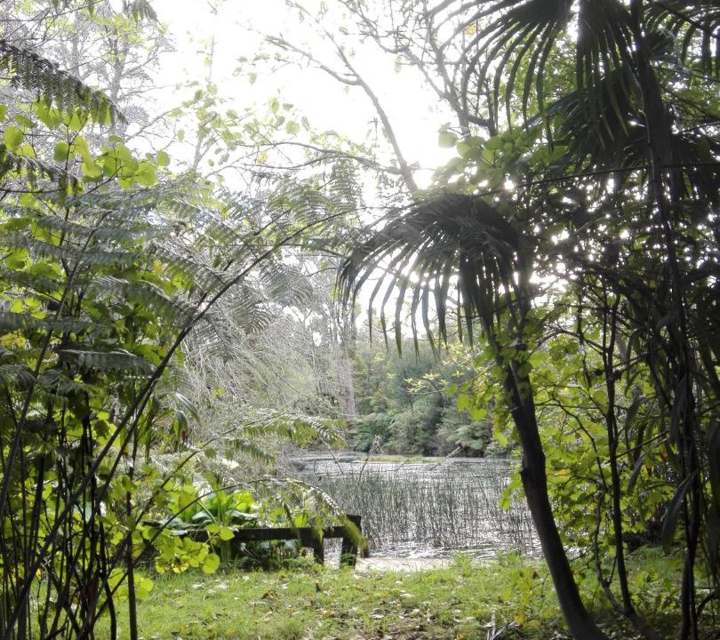 Photo of Others in Katikati