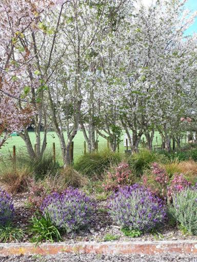 Photo of Outdoor in Levin