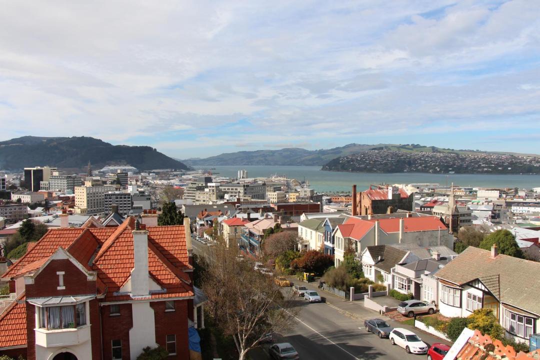 Photo of Others in Dunedin City Centre