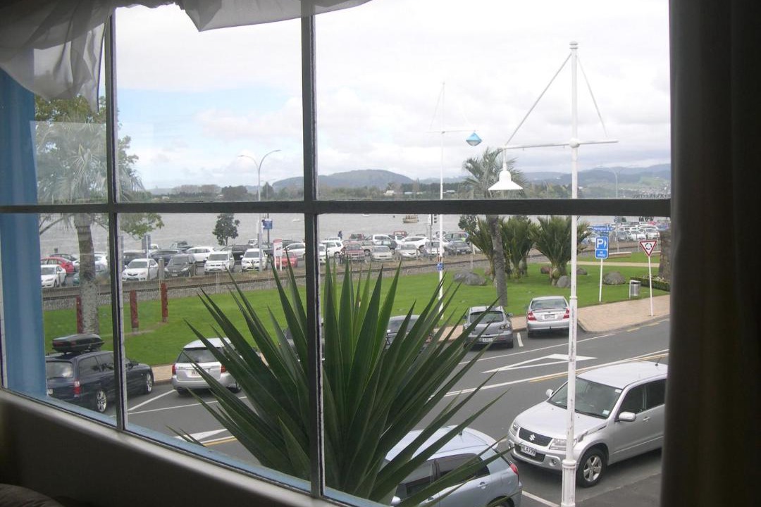 Photo of Others in Tauranga