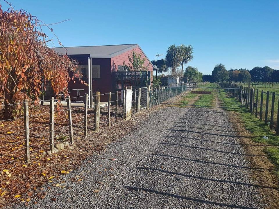 Photo of Buildings in Levin