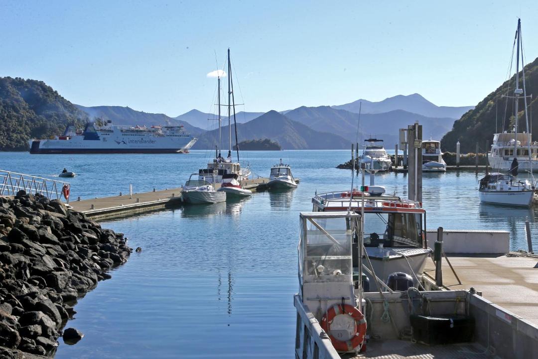 Photo of Others in Picton