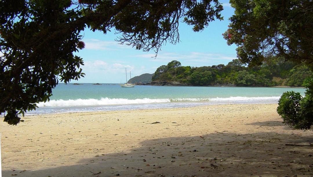 Photo of Others in Coopers Beach
