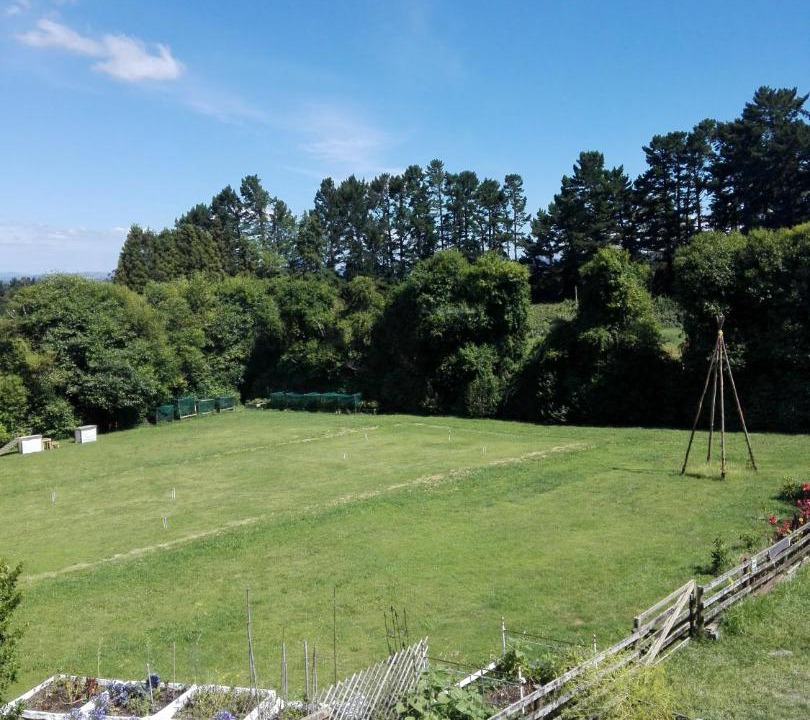 Photo of Others in Katikati