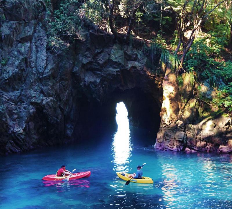Photo of Others in Whangamata