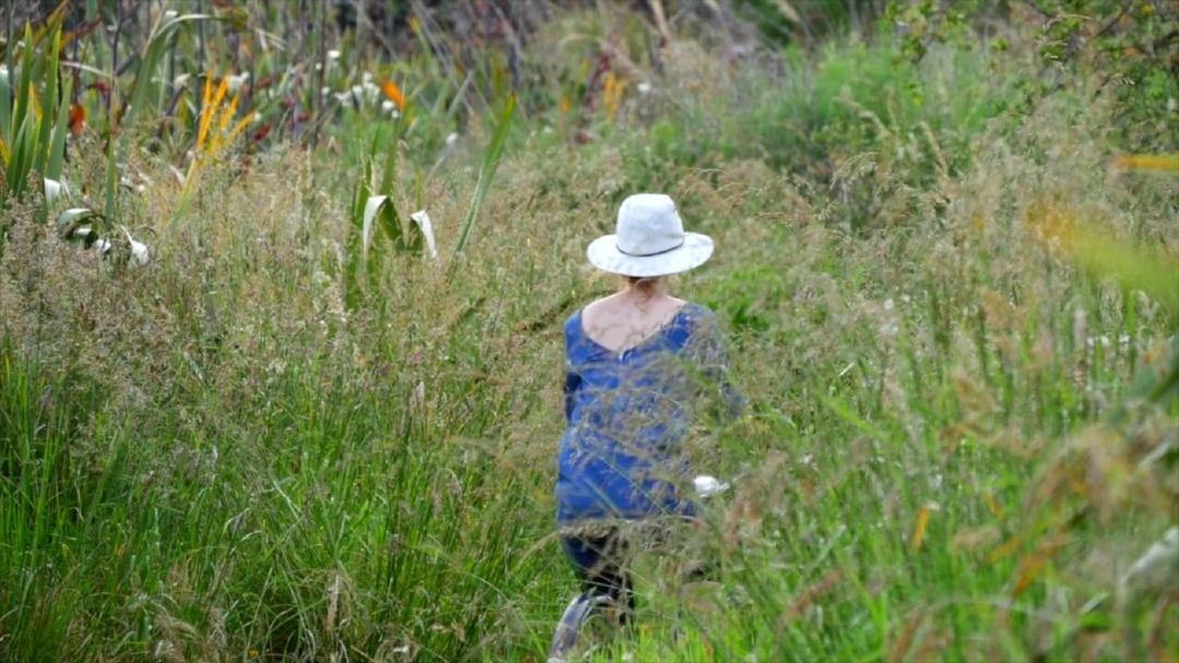 Photo of Others in Paraparaumu Beach