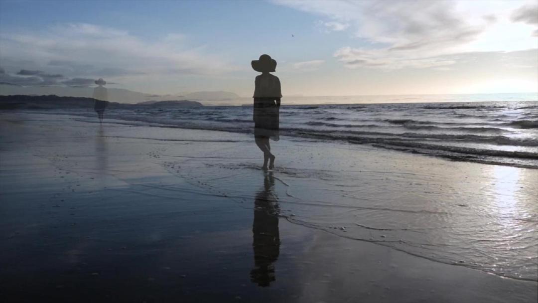 Photo of Others in Paraparaumu Beach
