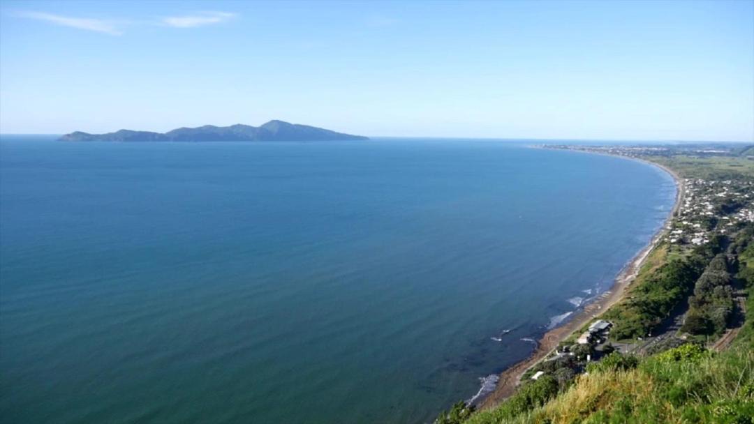Photo of Others in Paraparaumu Beach