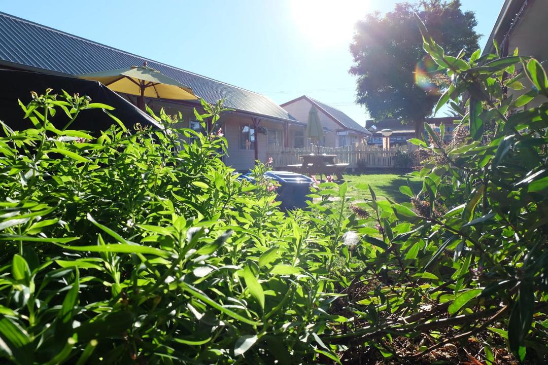 Photo of Others in Tahunanui
