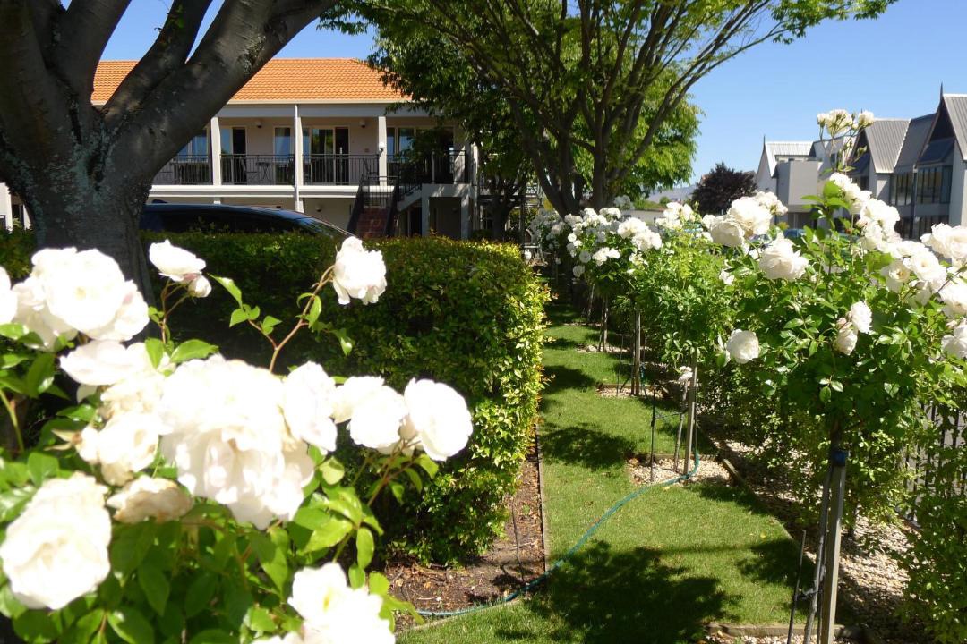 Photo of Others in Blenheim