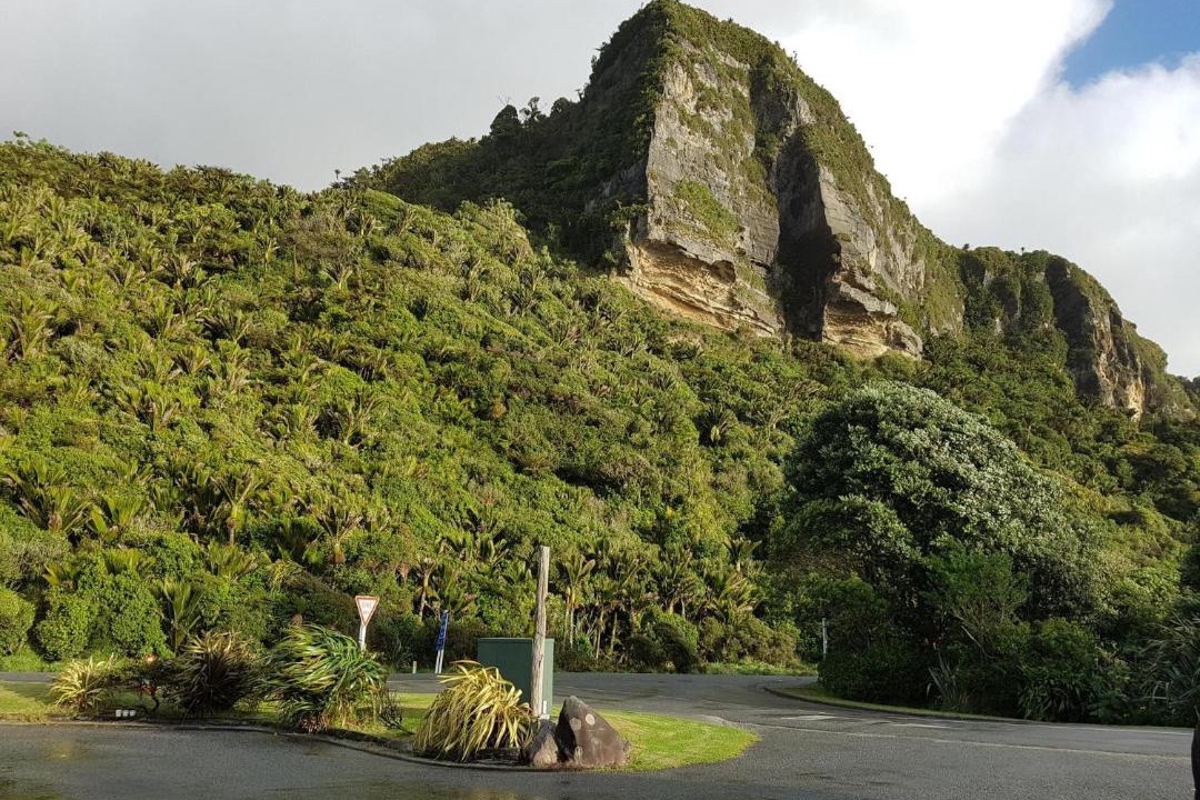 Photo of Others in Punakaiki