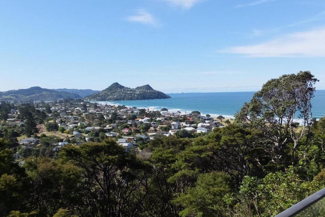 Photo of Others in Pauanui