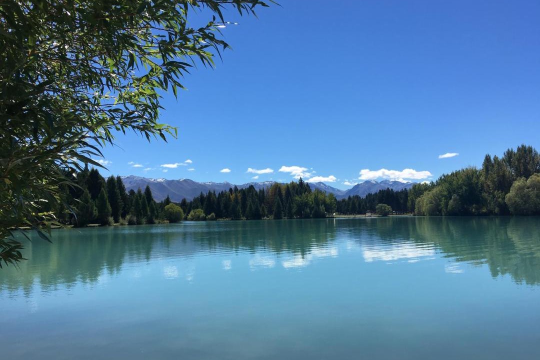 Photo of Others in Twizel