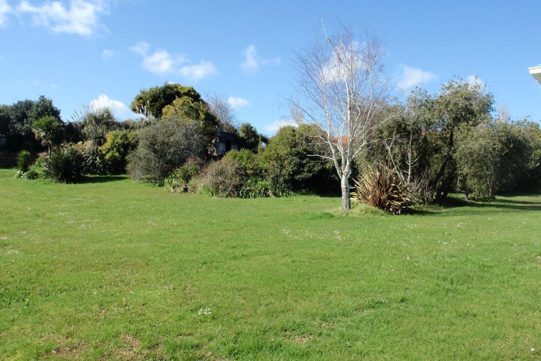 Photo of Others in Waiuku