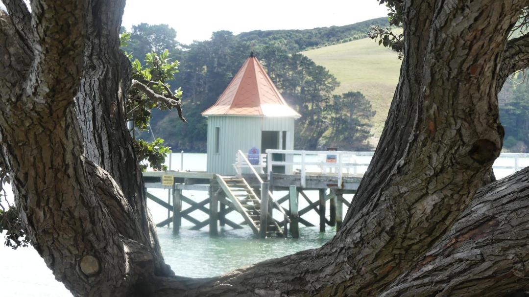 Photo of Others in Akaroa