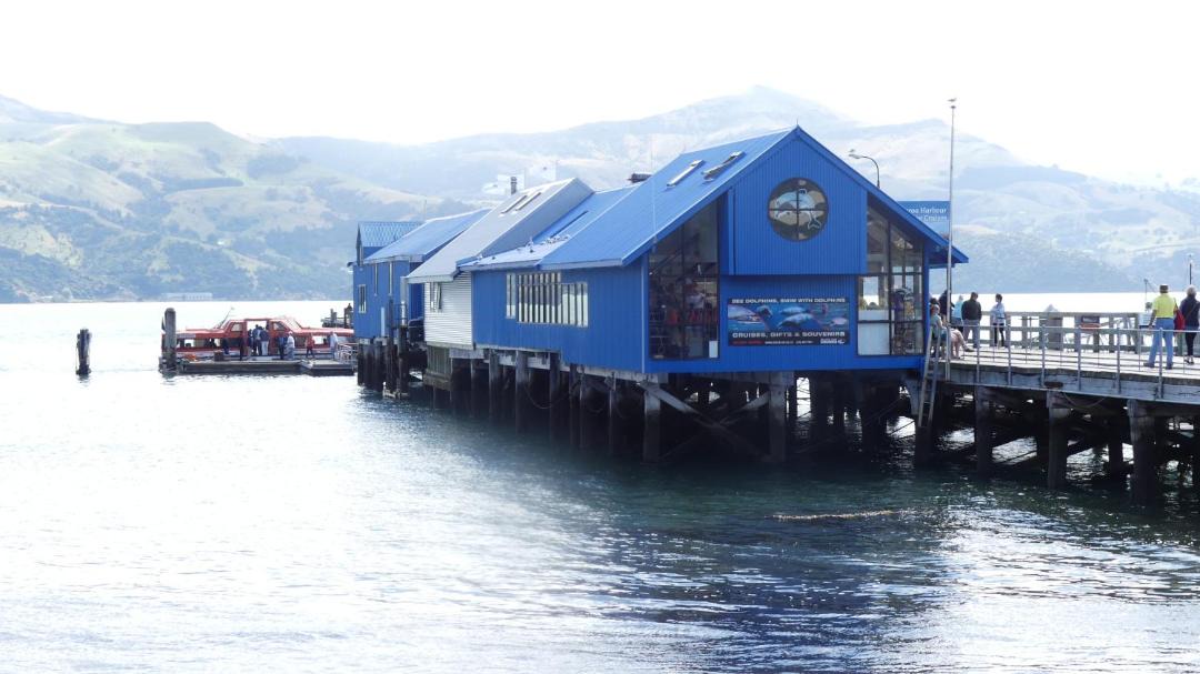 Photo of Others in Akaroa