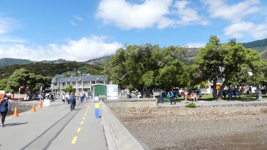 Photo of Others in Akaroa