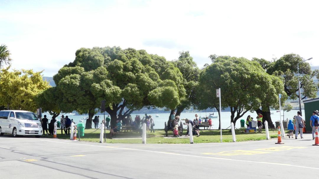 Photo of Others in Akaroa