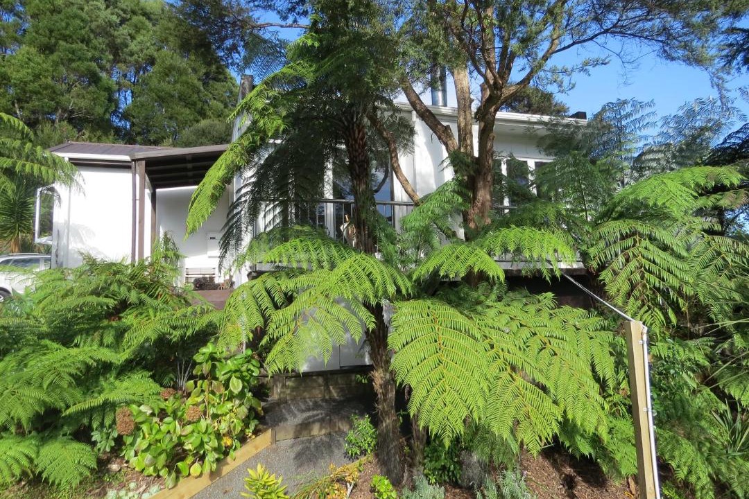 Photo of Others in Coromandel