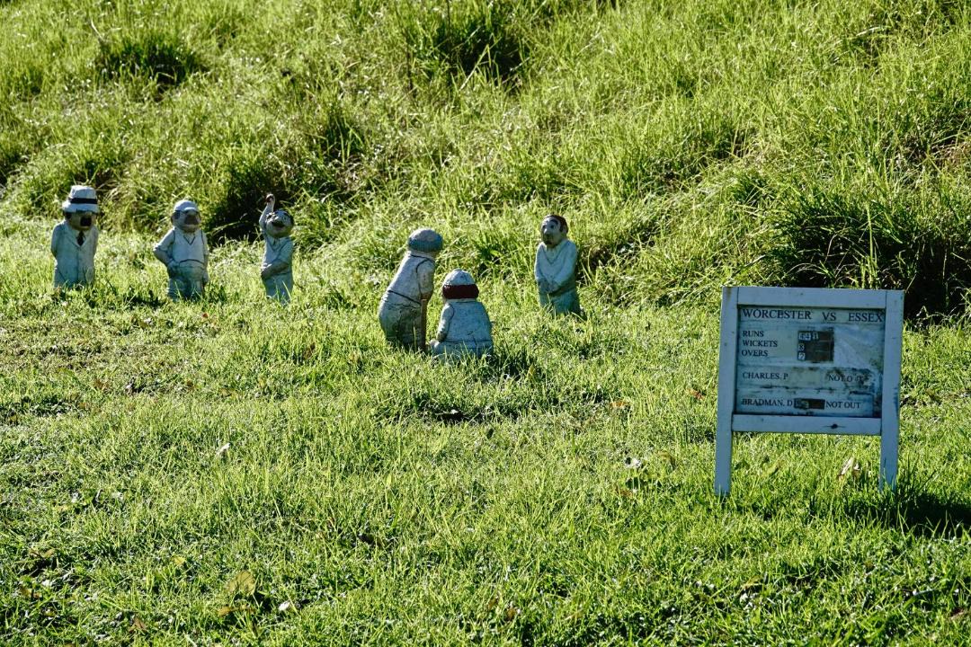 Photo of Others in Tawharanui