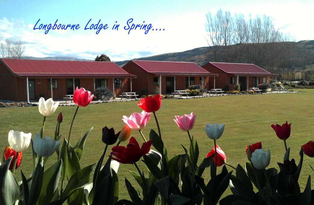 Photo of Others in Mosgiel