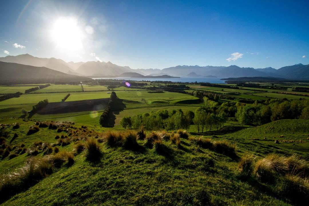 Photo of Others in Manapouri
