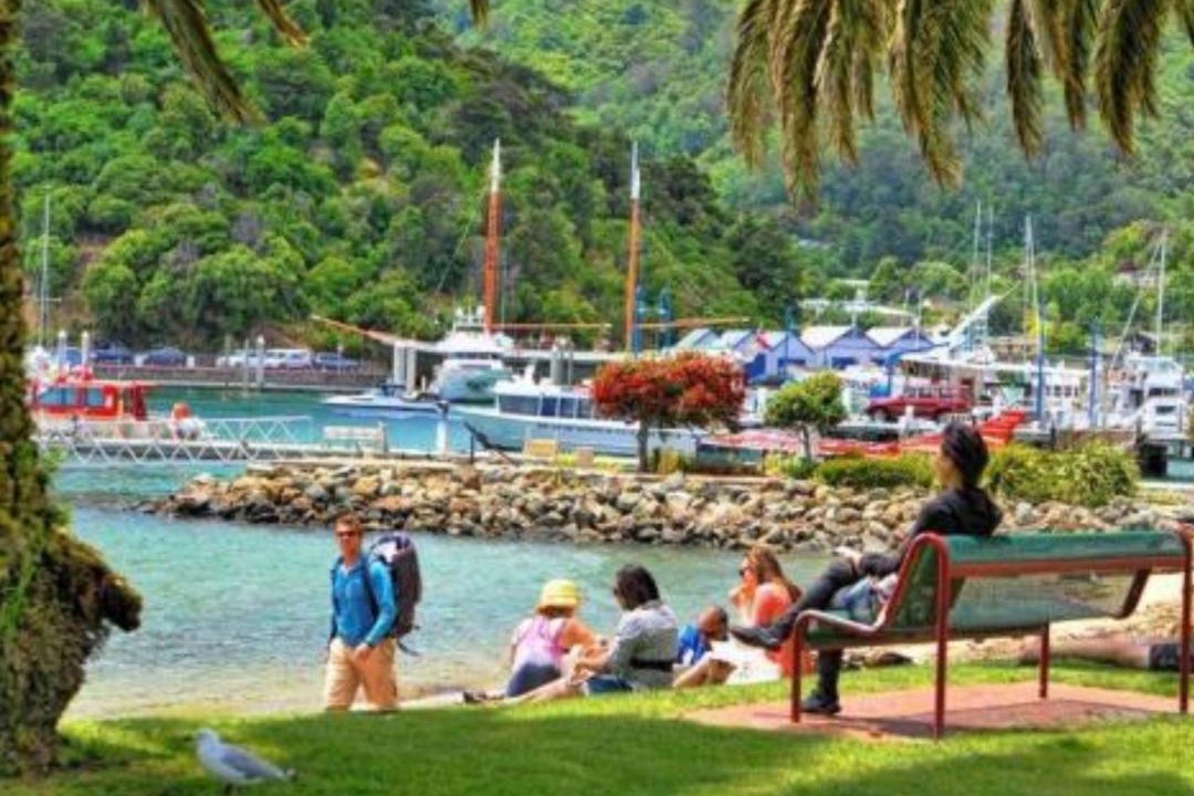 Photo of Others in Picton