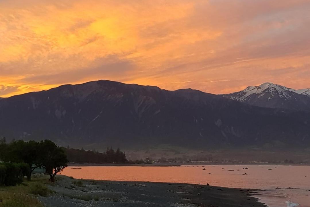 Photo of Others in Kaikoura