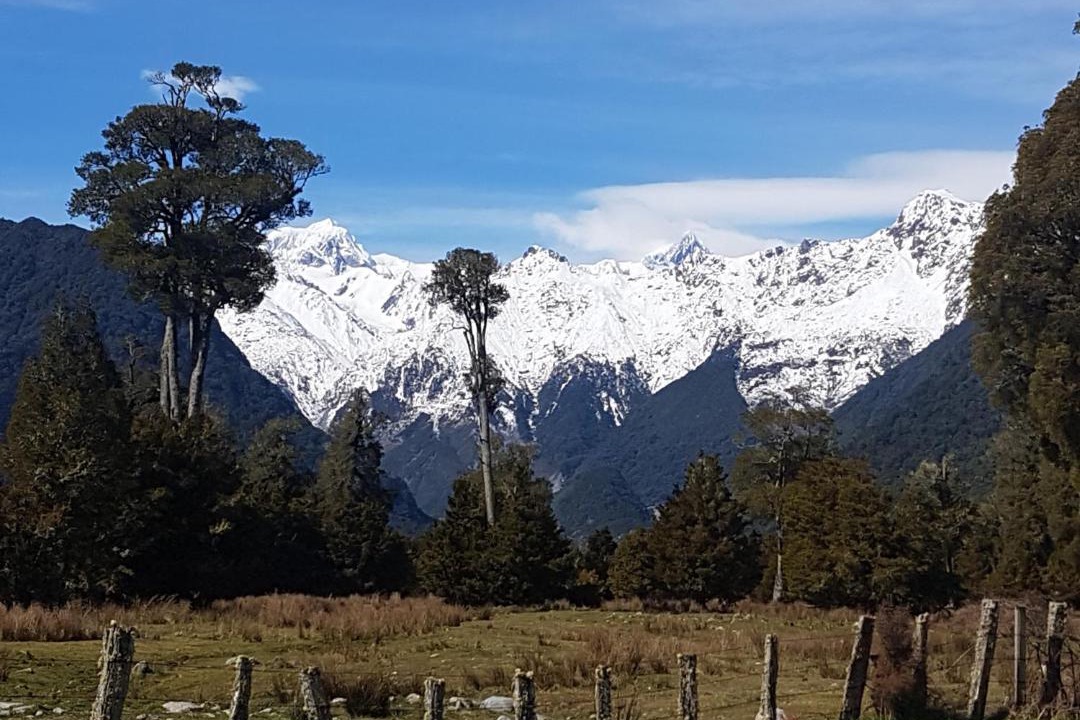Photo of Others in Fox Glacier